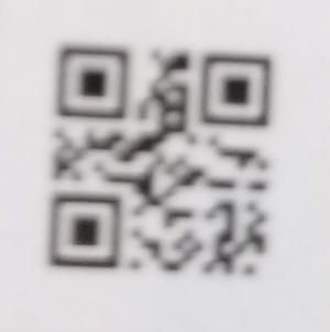 blurred QR code 2