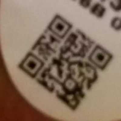 Blurred QR Codes