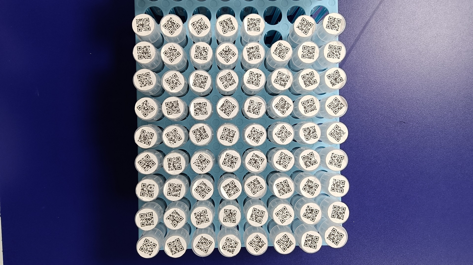 Batch Scan Multiple QR Codes
