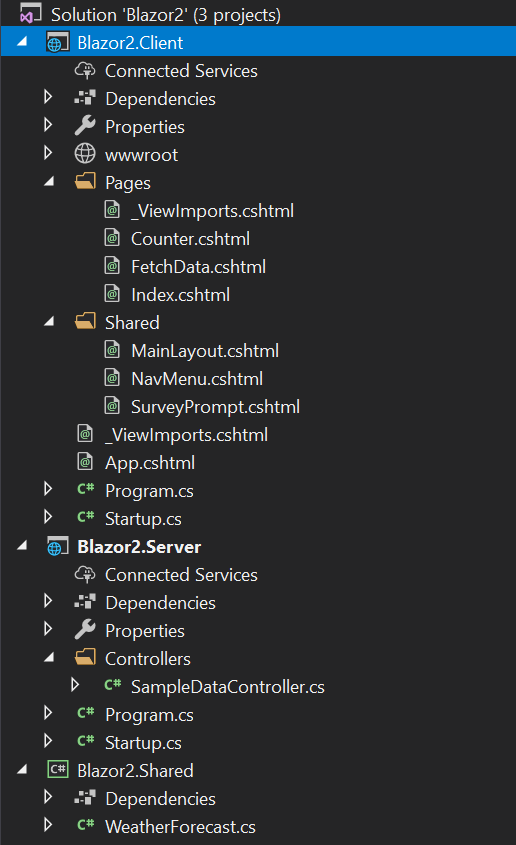 Shows the directory tree of a Blazor application in Visual Studio