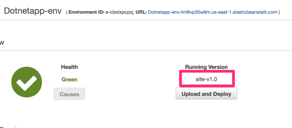 Creating a .NET Application in AWS Beanstalk - Screenshot of a healthy environment