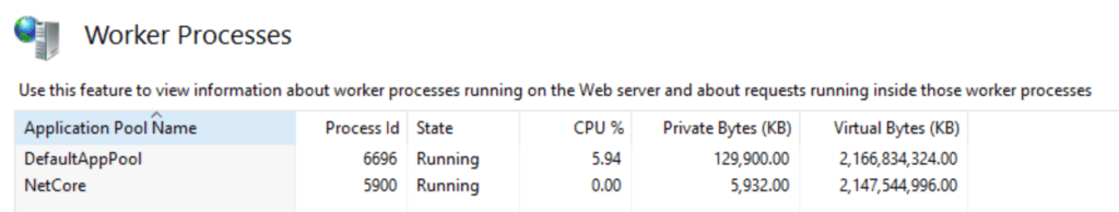 After selecting "Worker Processes" from the main IIS menu, you can see the currently running IIS worker processes.