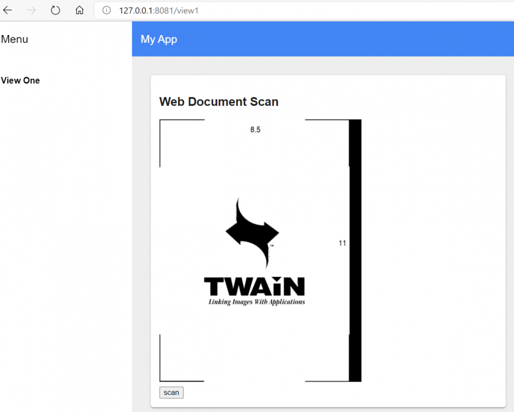 Polymer Shadow DOM document scan